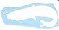 Vinyl Decals