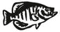 Vinyl Decals